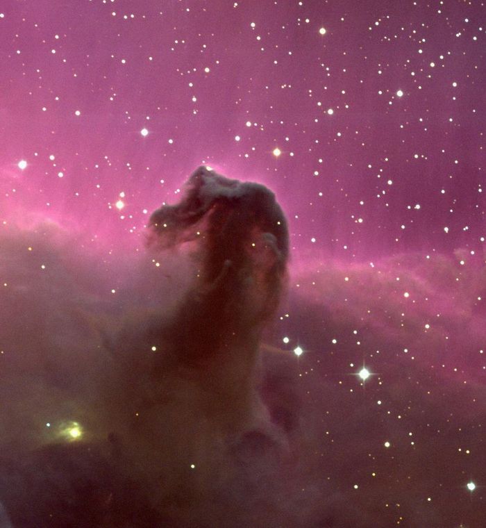 Nebulosa cabeza de caballo